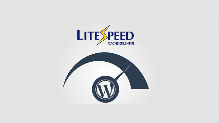 افزونه litespeed-cache